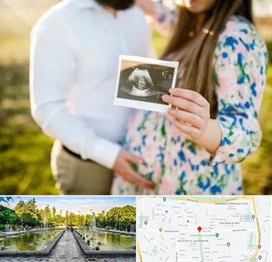عکاسی بارداری در سرسبز 
