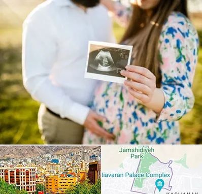 عکاسی بارداری در نیاوران 