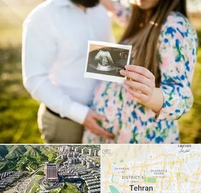 عکاسی بارداری در شمال تهران 