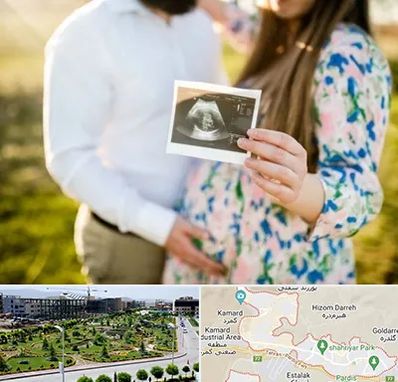 عکاسی بارداری در پردیس