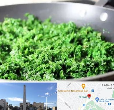 دستگاه سبزی خرد کن صنعتی در فلکه گاز شیراز 