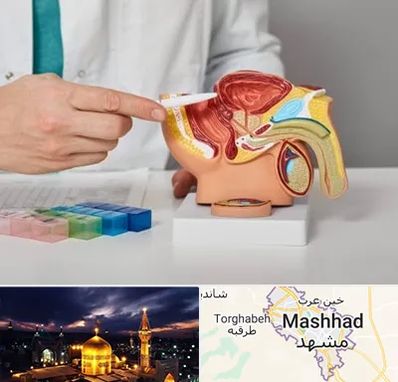 دکتر اورولوژی در مشهد