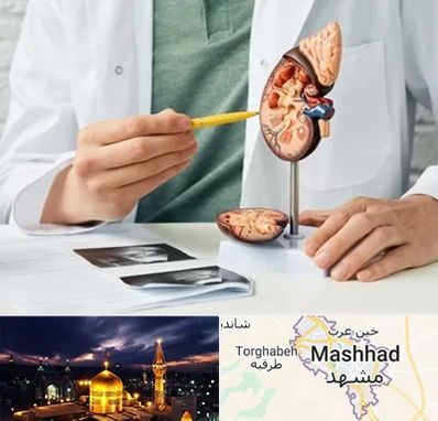 دکتر اورولوژیست در مشهد