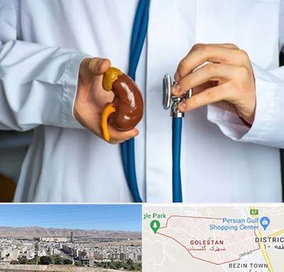 دکتر سرطان کلیه در شهرک گلستان شیراز 