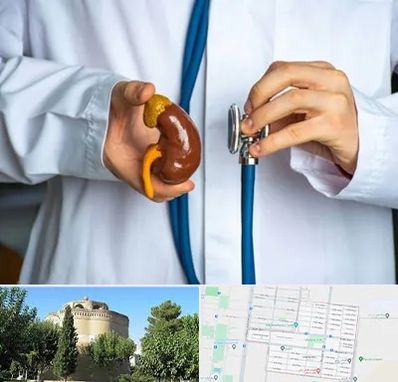 دکتر سرطان کلیه در مرداویج اصفهان 