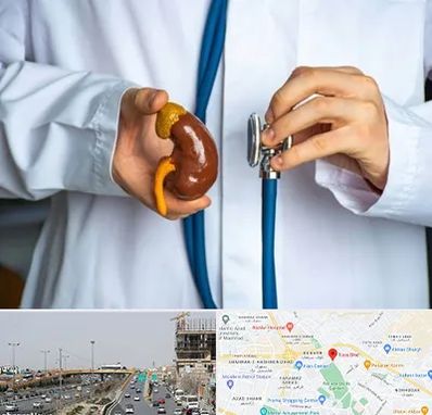 دکتر سرطان کلیه در بلوار توس مشهد 