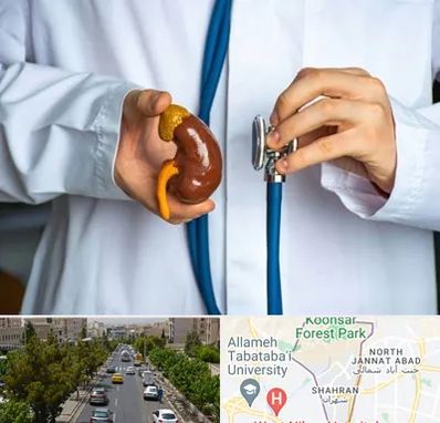 دکتر سرطان کلیه در شهران 