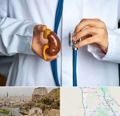 دکتر سرطان کلیه در فرهنگ شهر شیراز 