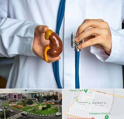 دکتر سرطان کلیه در تهرانسر 