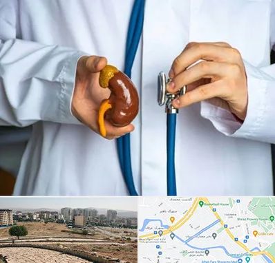 دکتر سرطان کلیه در کوی وحدت شیراز 