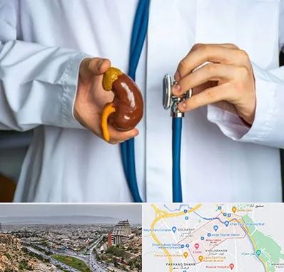 دکتر سرطان کلیه در معالی آباد شیراز 