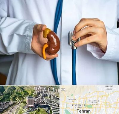 دکتر سرطان کلیه در شمال تهران 