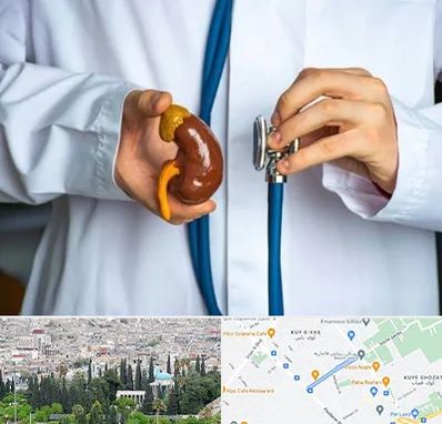 دکتر سرطان کلیه در محلاتی شیراز 