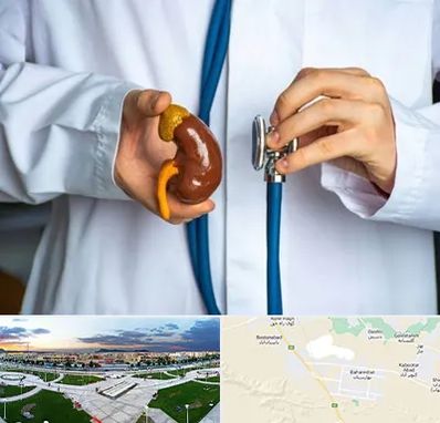 دکتر سرطان کلیه در بهارستان اصفهان 