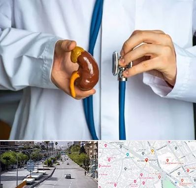 دکتر سرطان کلیه در خیابان زند شیراز 