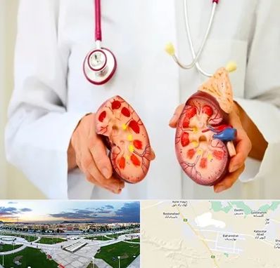 دکتر سنگ کلیه در بهارستان اصفهان 