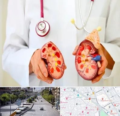 دکتر سنگ کلیه در خیابان زند شیراز 