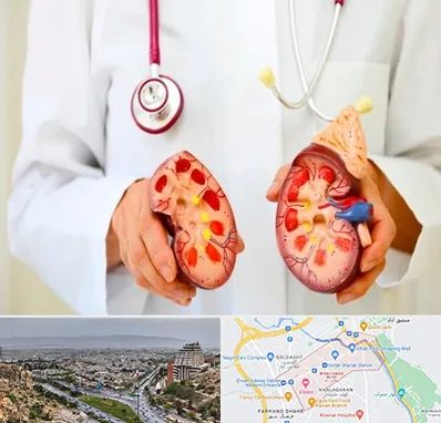 دکتر سنگ کلیه در معالی آباد شیراز 