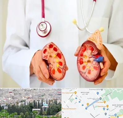 دکتر سنگ کلیه در محلاتی شیراز 