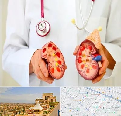 دکتر سنگ کلیه در هاشمیه مشهد 