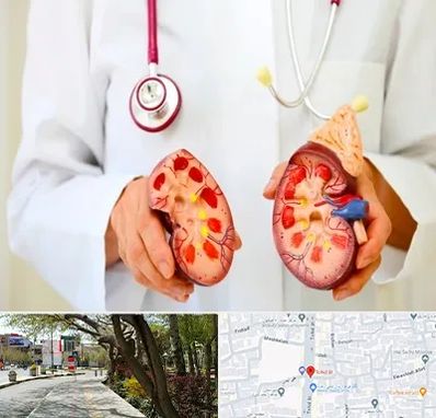 دکتر سنگ کلیه در خیابان توحید اصفهان 