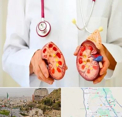 دکتر سنگ کلیه در فرهنگ شهر شیراز 