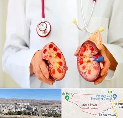 دکتر سنگ کلیه در شهرک گلستان شیراز 