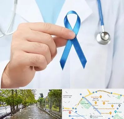 دکتر سرطان بیضه در خیابان ارم شیراز 