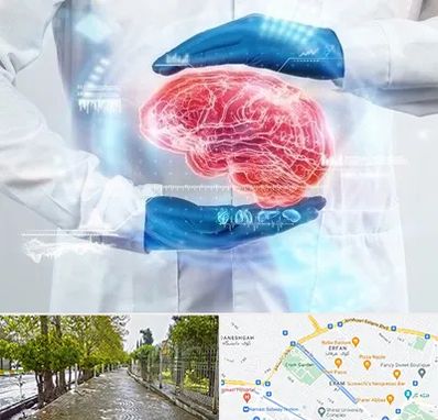 دکتر مغز و اعصاب در خیابان ارم شیراز 