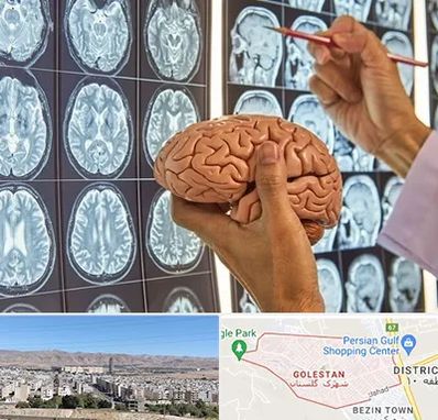 جراح مغز و اعصاب در شهرک گلستان شیراز 