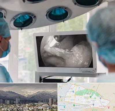 جراح ریه در منطقه 4 تهران 