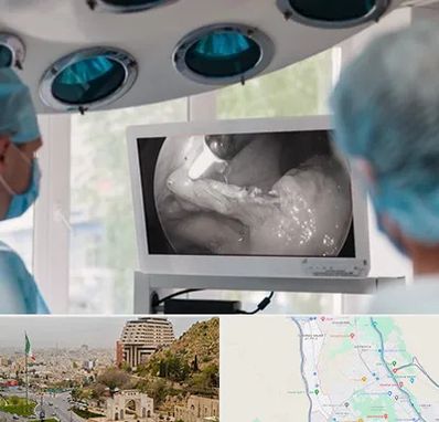 جراح ریه در فرهنگ شهر شیراز 