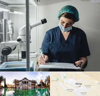 دکتر اورولوژیست خانم در شیراز