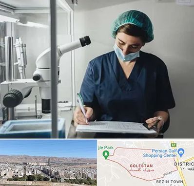 دکتر اورولوژیست خانم در شهرک گلستان شیراز 