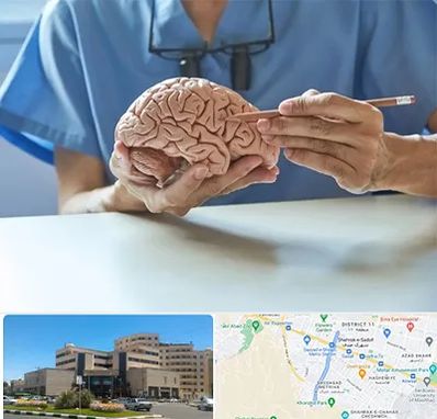 دکتر نورولوژی در صیاد شیرازی مشهد 
