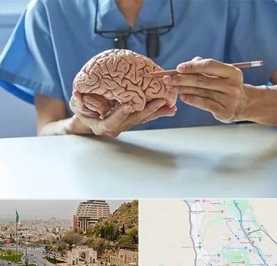 دکتر نورولوژی در فرهنگ شهر شیراز 