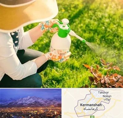 فروش سم حشرات در کرمانشاه