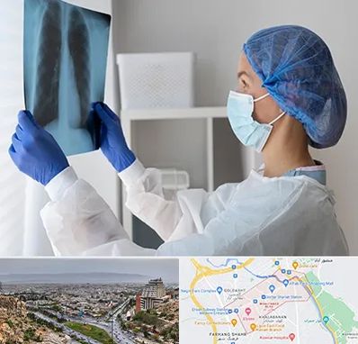 جراح سرطان مغز و استخوان در معالی آباد شیراز 