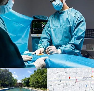 جراح سرطان کلیه در هشت بهشت اصفهان 