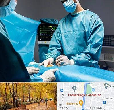 جراح سرطان کلیه در چهارباغ اصفهان 