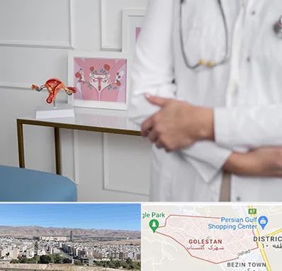 دکتر سرطان تخمدان در شهرک گلستان شیراز 