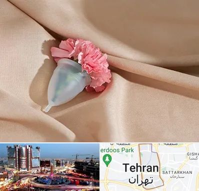 جراح سرطان واژن در صادقیه 