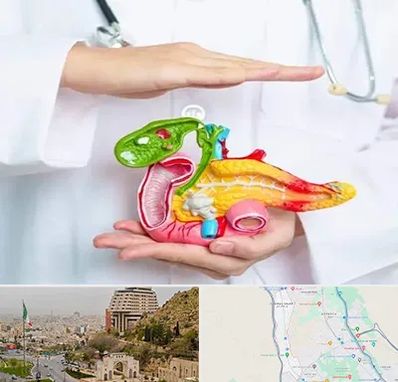 دکتر سرطان لوزالمعده در فرهنگ شهر شیراز 