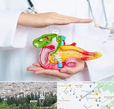 دکتر سرطان لوزالمعده در محلاتی شیراز 