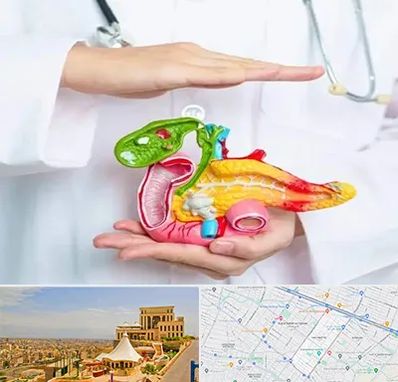 دکتر سرطان لوزالمعده در هاشمیه مشهد 