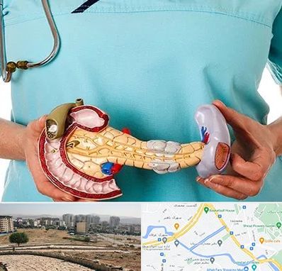 جراح سرطان لوزالمعده در کوی وحدت شیراز 