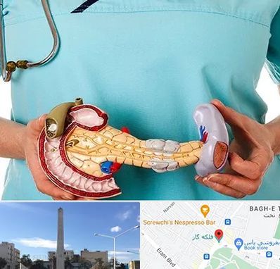 جراح سرطان لوزالمعده در فلکه گاز شیراز 