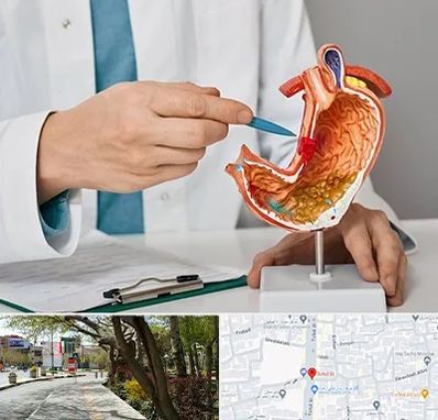 دکتر سرطان معده در خیابان توحید اصفهان 