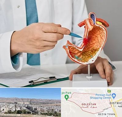 دکتر سرطان معده در شهرک گلستان شیراز 