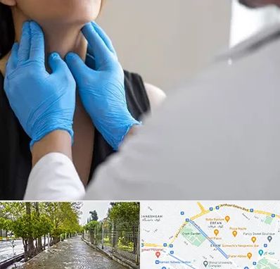 دکتر سرطان گلو در خیابان ارم شیراز 